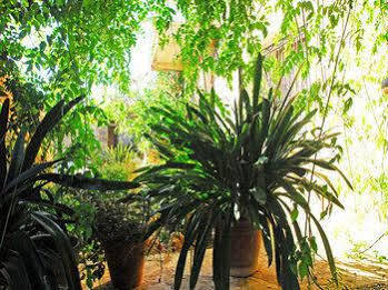Farm stay Sa Cova Vella Manacor (Mallorca)