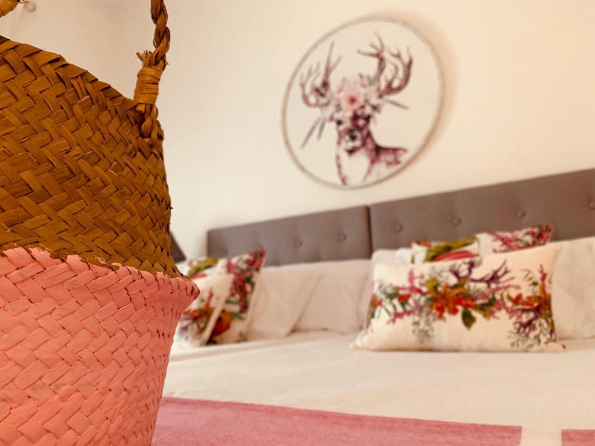 Casa Ruy Lopez Guest house