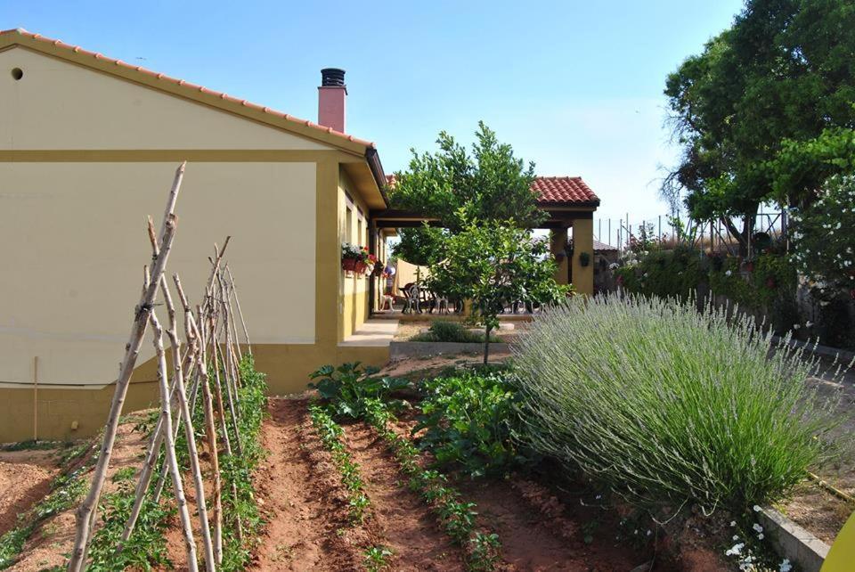 La Bodega Del Abuelo Сasa de vacaciones Bujalaro