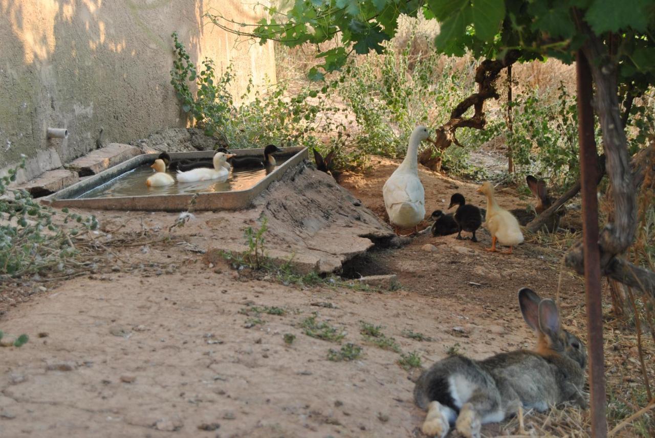 Сasa de vacaciones La Bodega Del Abuelo