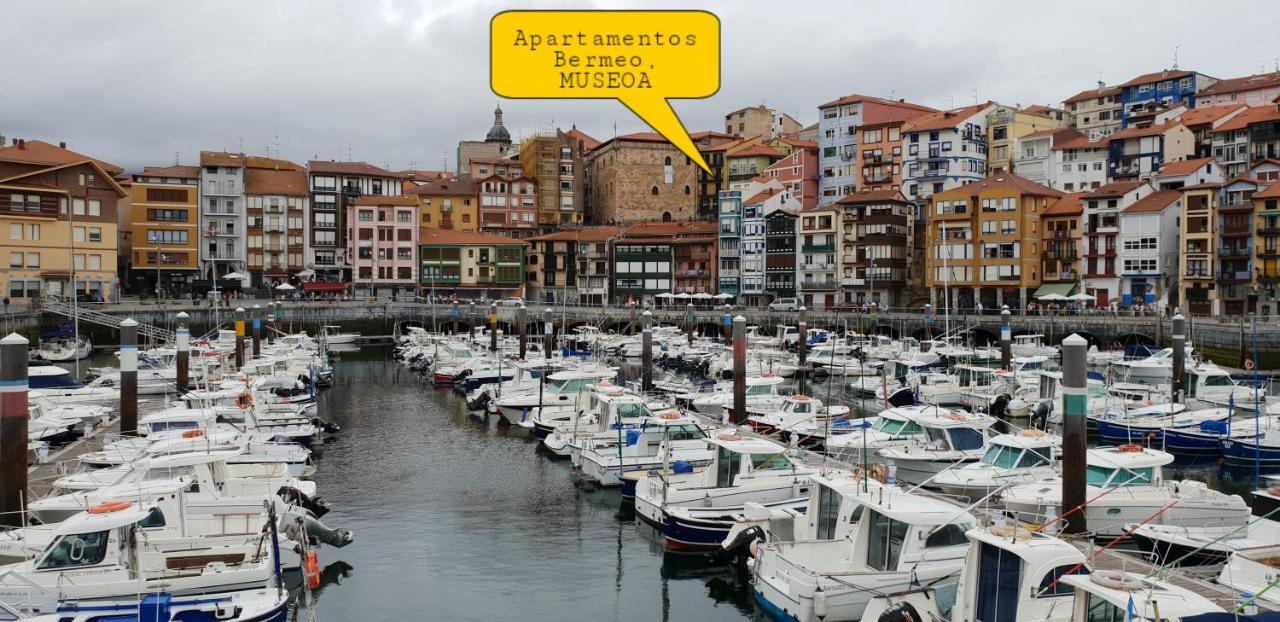Bermeo, Museoa