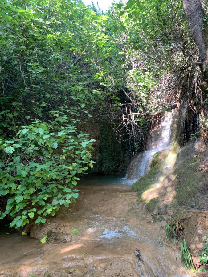 Rio Bejar Quesada