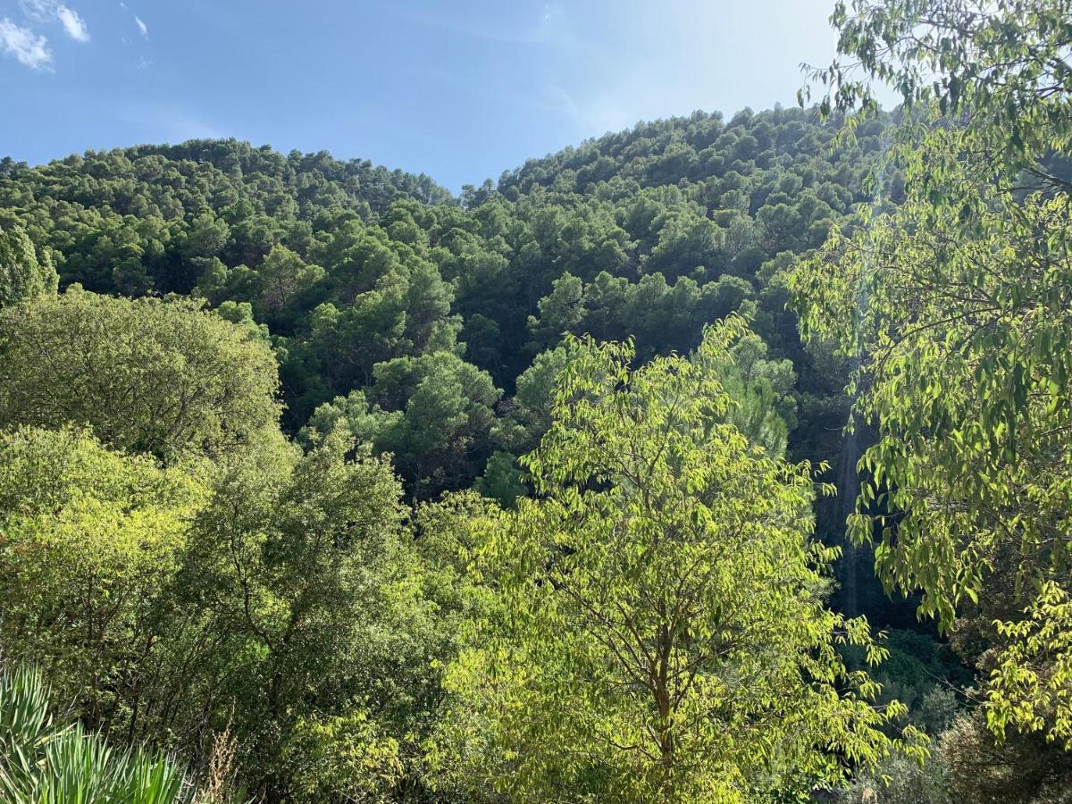 Rio Bejar Villa Quesada