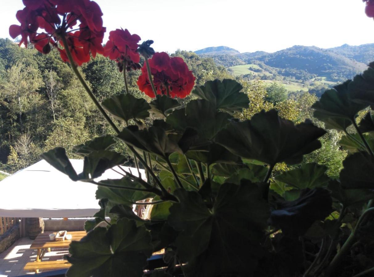Casa Elena Con Wifi Y Parking Gratuito Holiday home