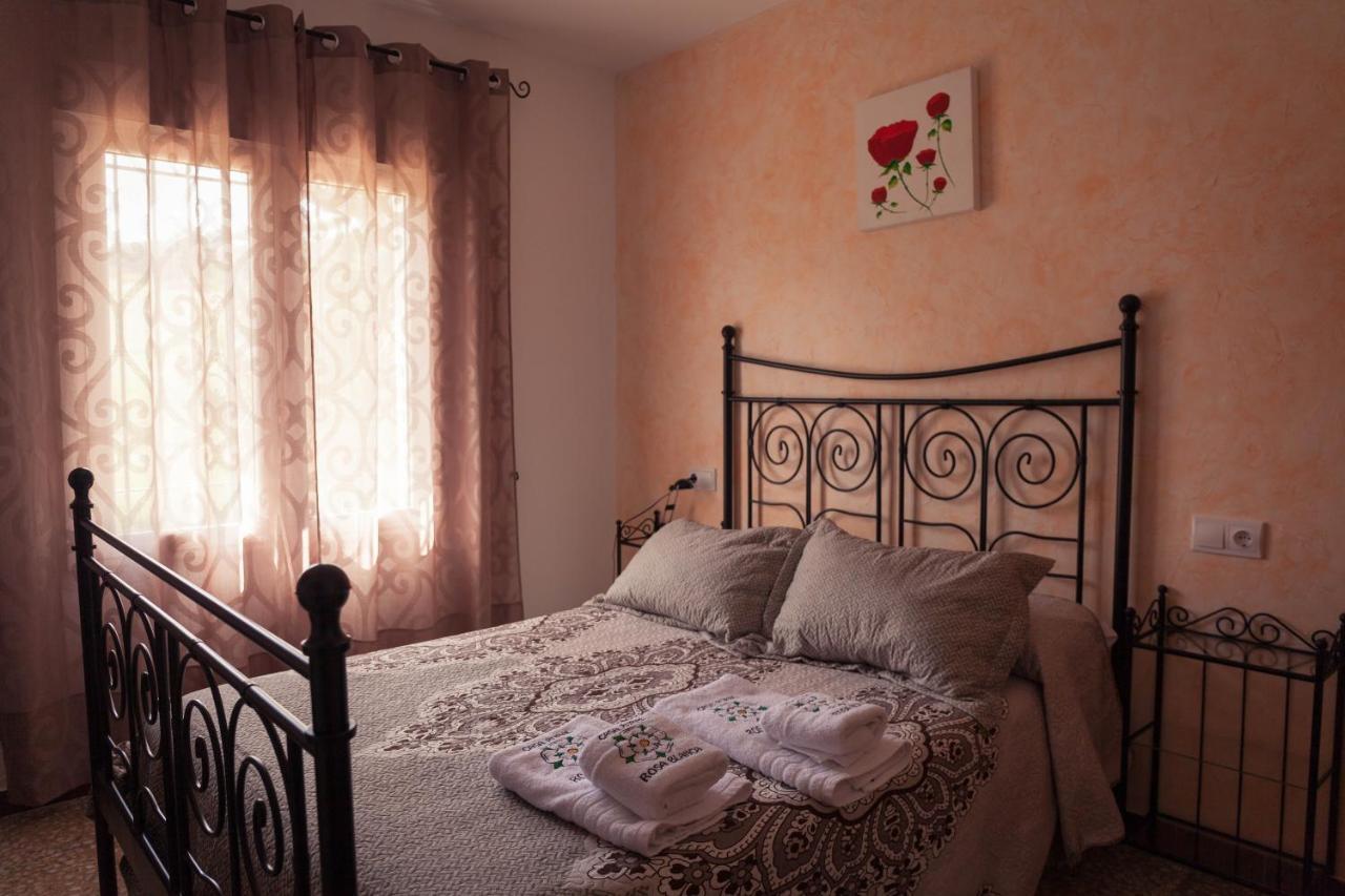 Rosa Blanca Homestay *