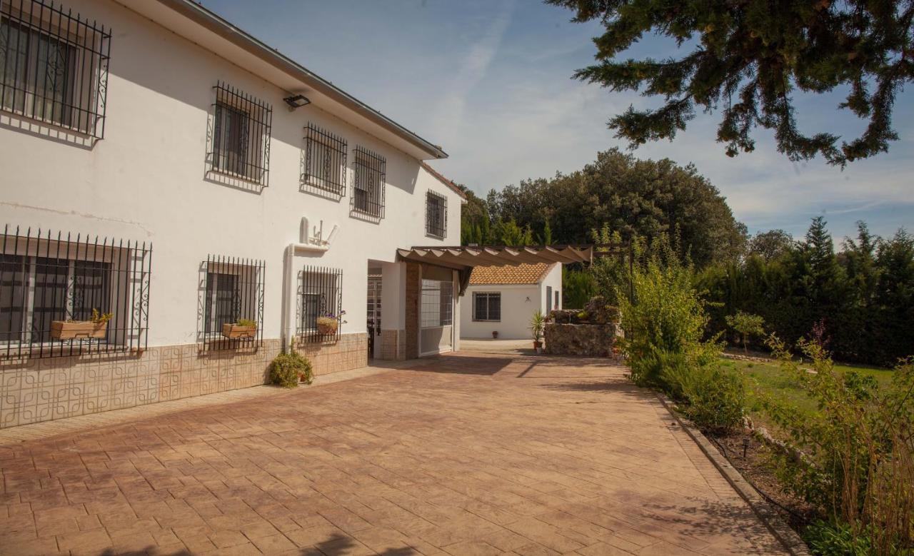 Homestay Rosa Blanca *