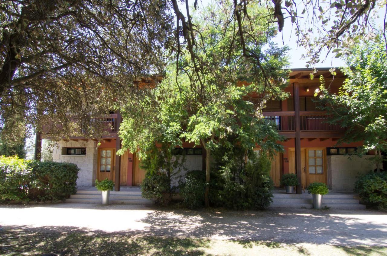 Sara De Ur La Cabrera