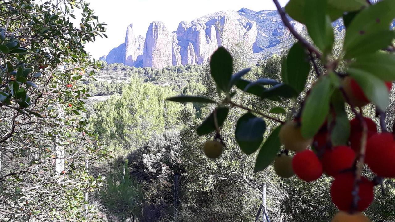 Despertar En Apartamento Riglos