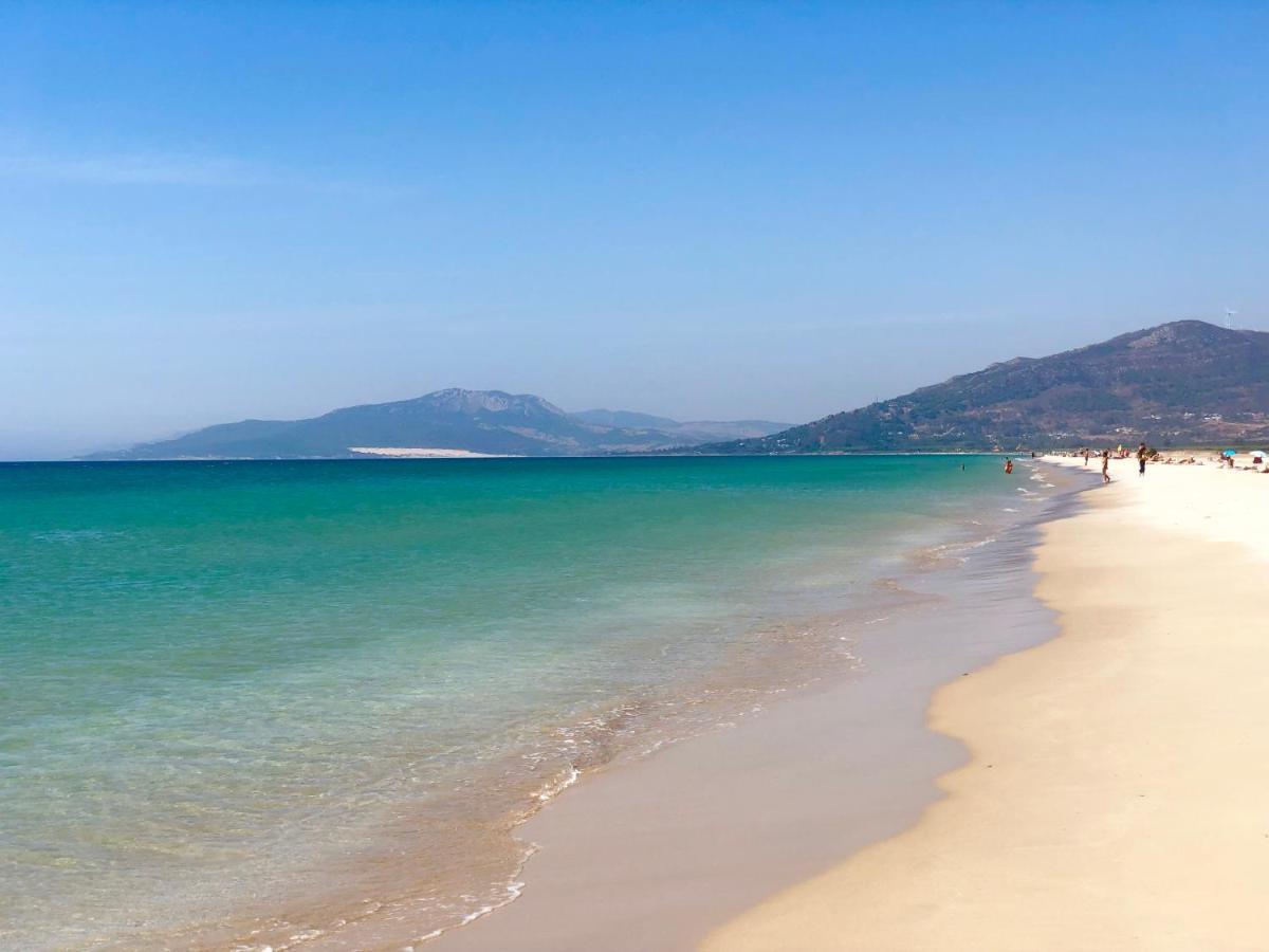 La Tortuga Ii Tarifa