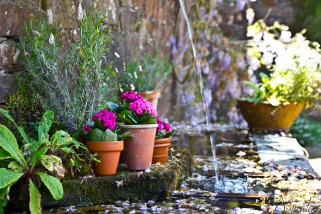 Pazo De Country house