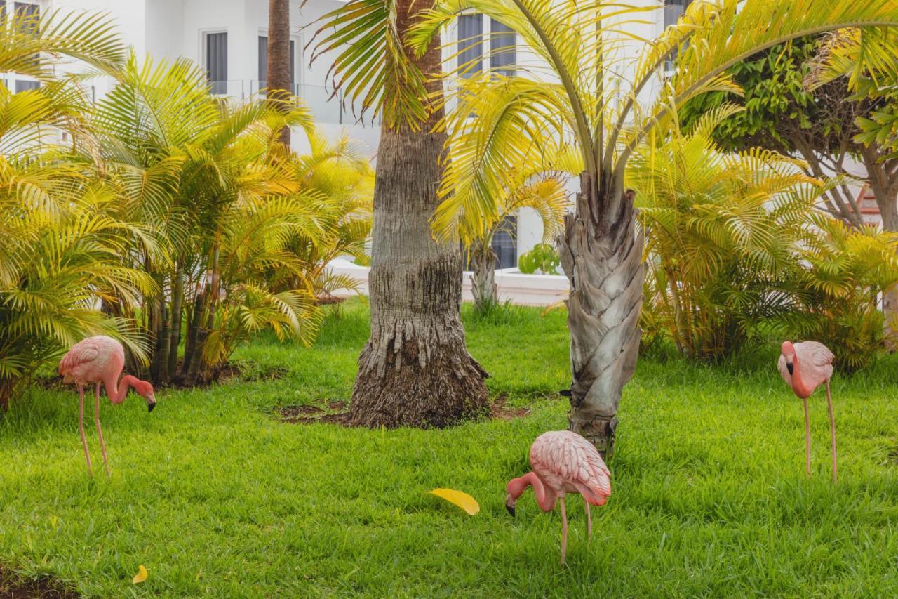 Flamingo Mate