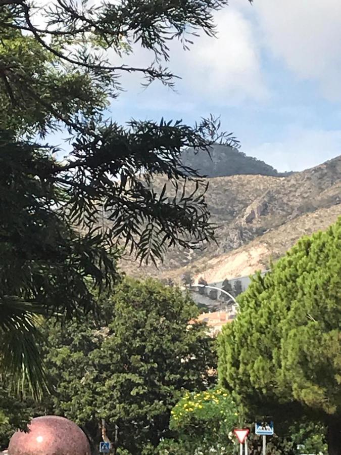 Apartamento Bajo B Avenida De Las Yedras Apartamento