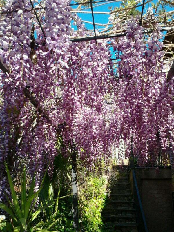 Country house Alqueria De Hurdes Horcajo (Caceres)
