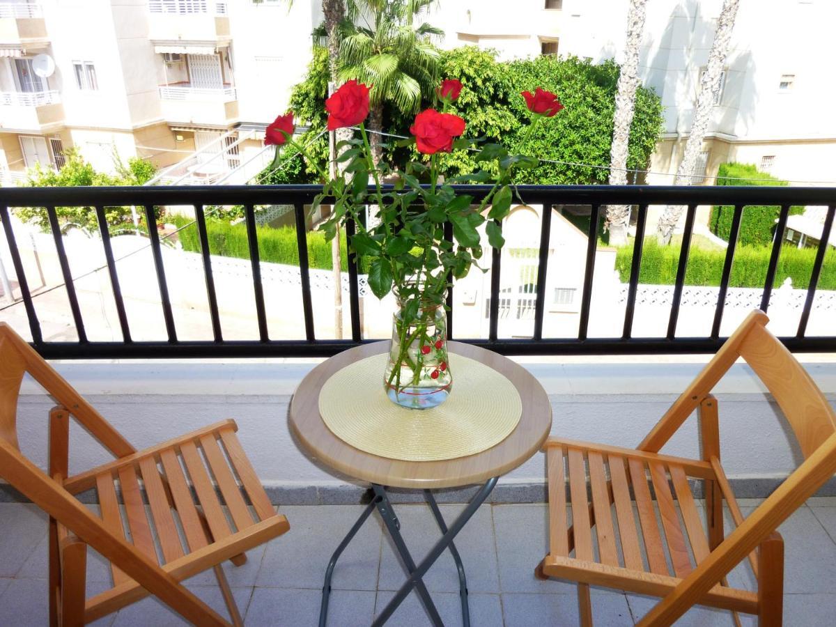The Cozy Torrevieja
