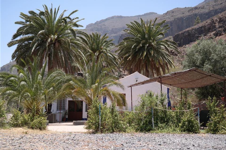 Casa rural Ecotara Canary Islands Eco-villa Retreat