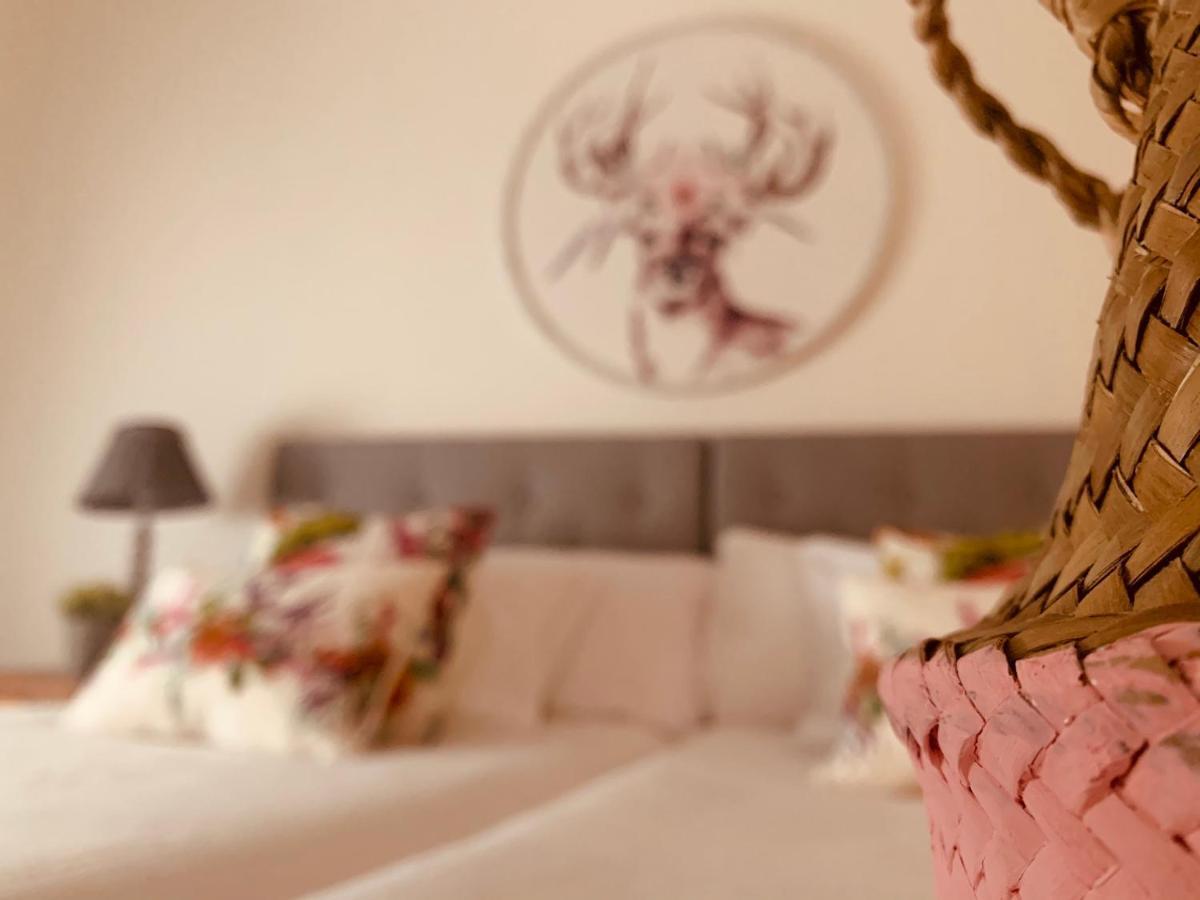 Guest house Casa Ruy Lopez
