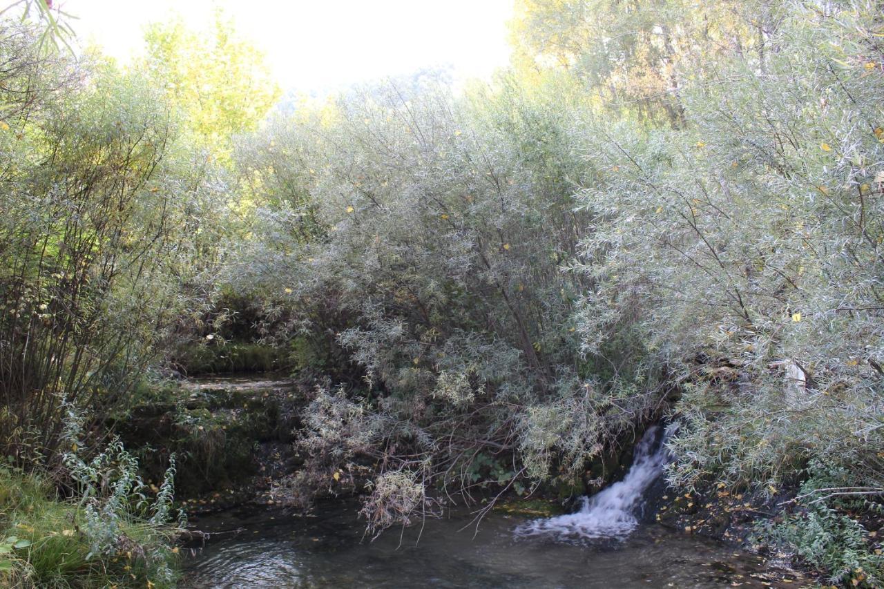 El Boyal Del Alto Tajo La Carrera * Poveda de la Sierra