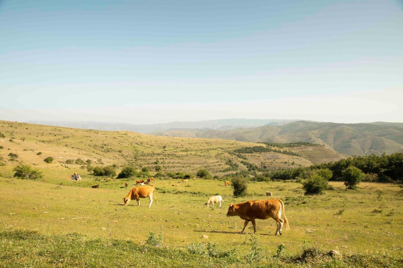 El Huerto De La Fragua