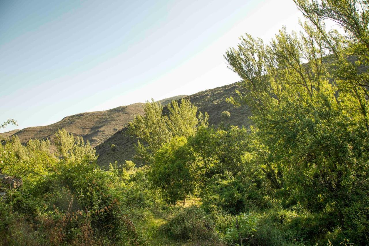 El Huerto De La Fragua *