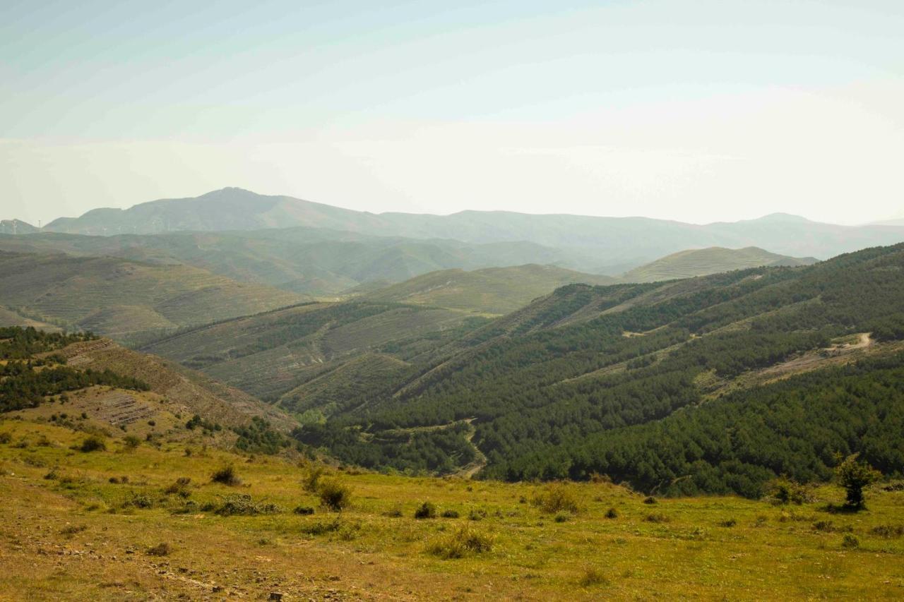 El Huerto De La Fragua Enciso