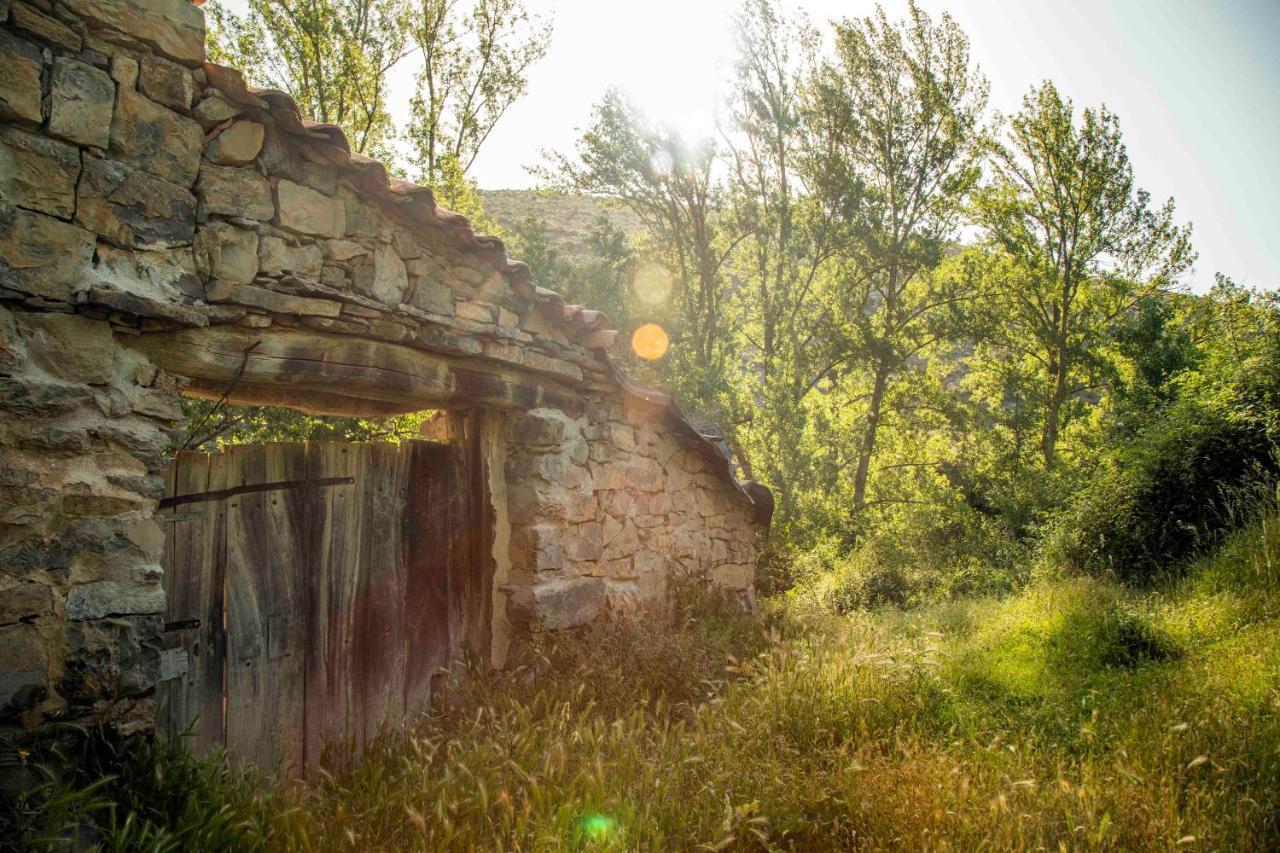 El Huerto De La Fragua