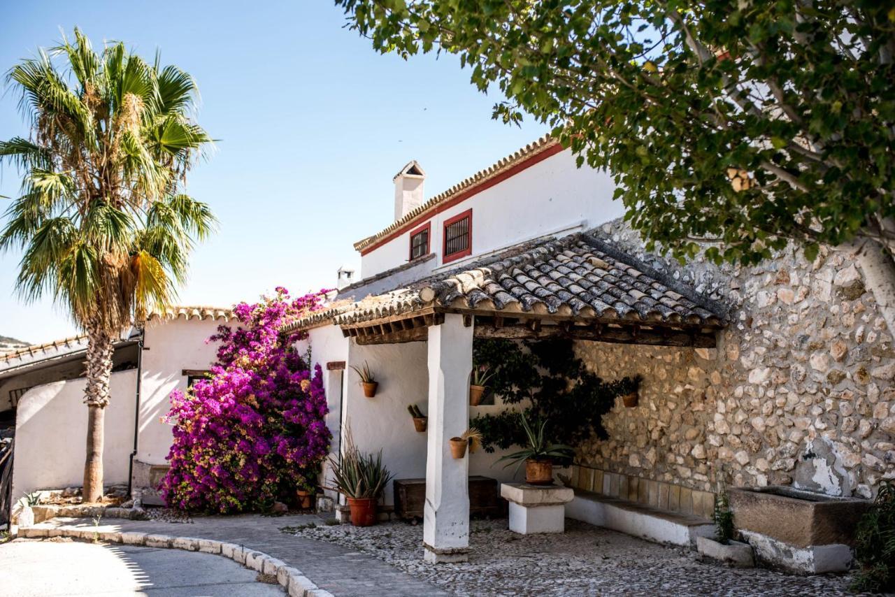 Hacienda Minerva 4*