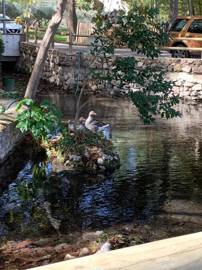 Сasa de vacaciones Remedios