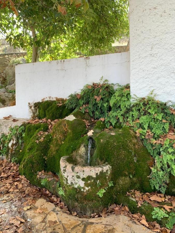 Holiday home Remedios Cuevas del Becerro
