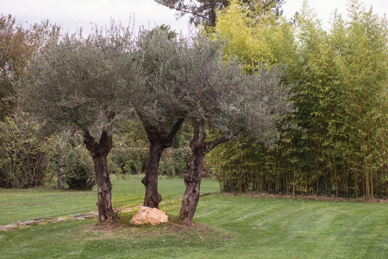 Jardines Pazo A Fabrica