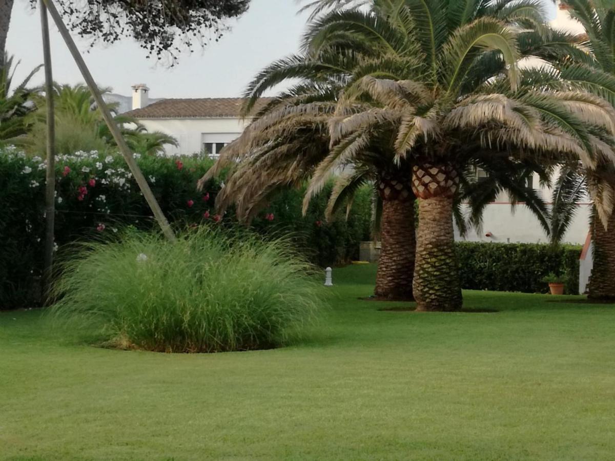 Haizea En Denia