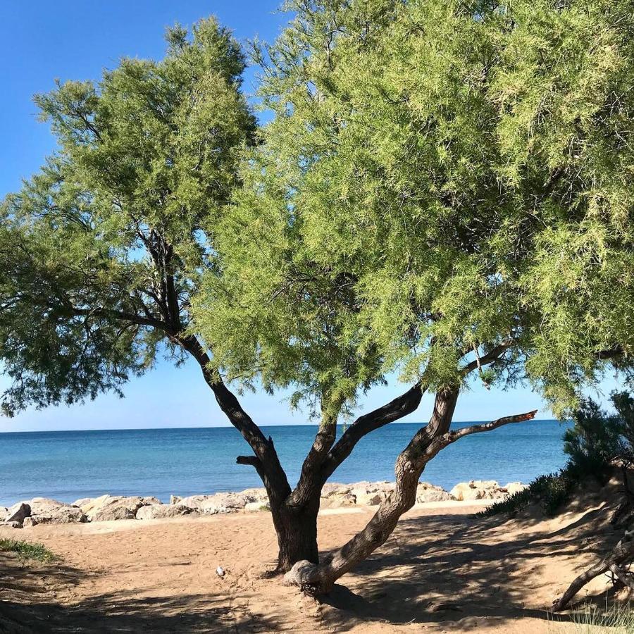 Costa Blanca Villa *