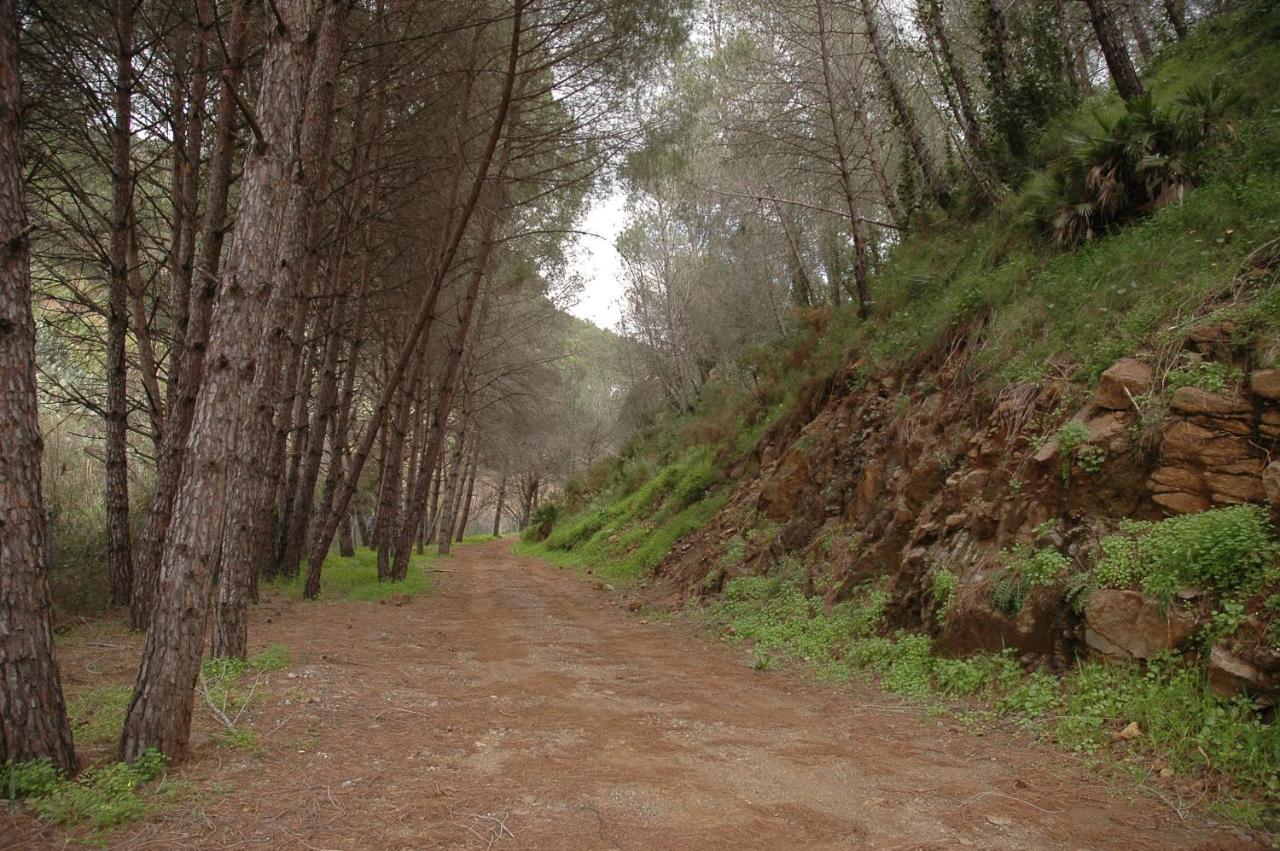 El Capricho De Almadan