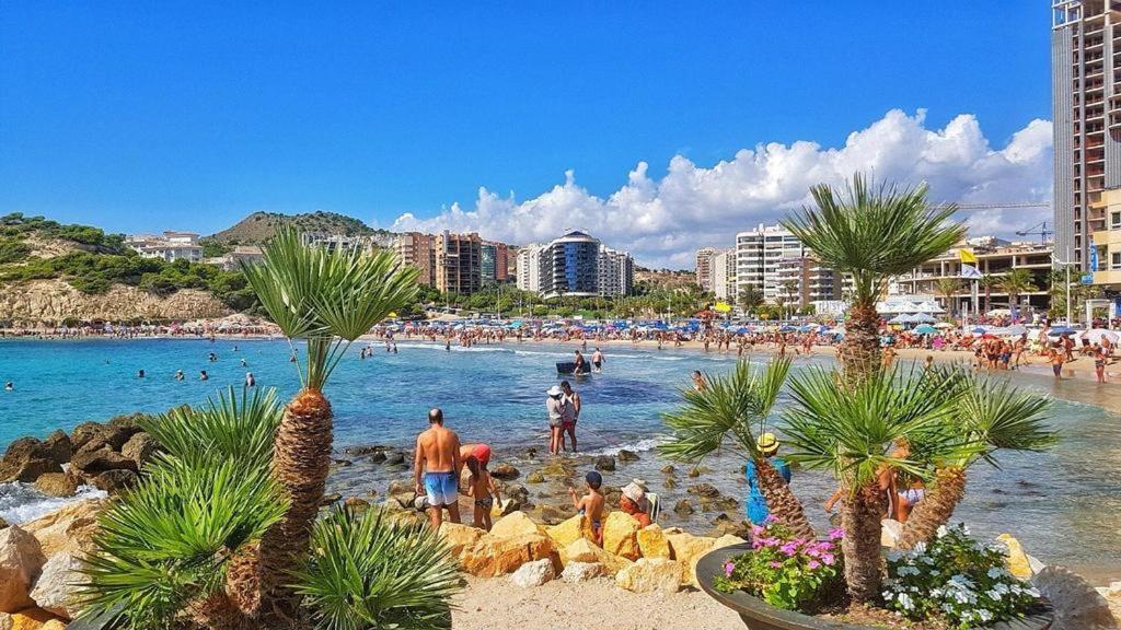 Cala De Benidorm Holidays *