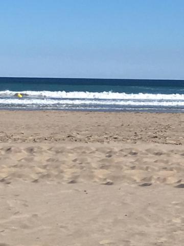 Charming Beachfront Apartment/ Encantador Apartamento Frente Al Mar Apartamento