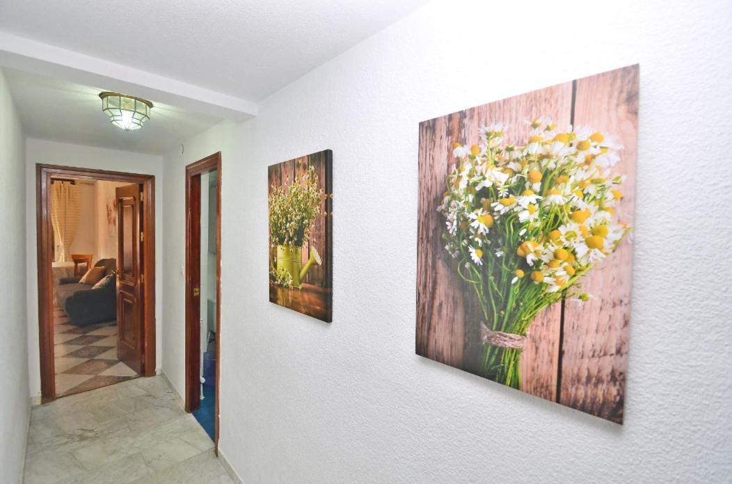 Apartamento Pleno Centro De Granada