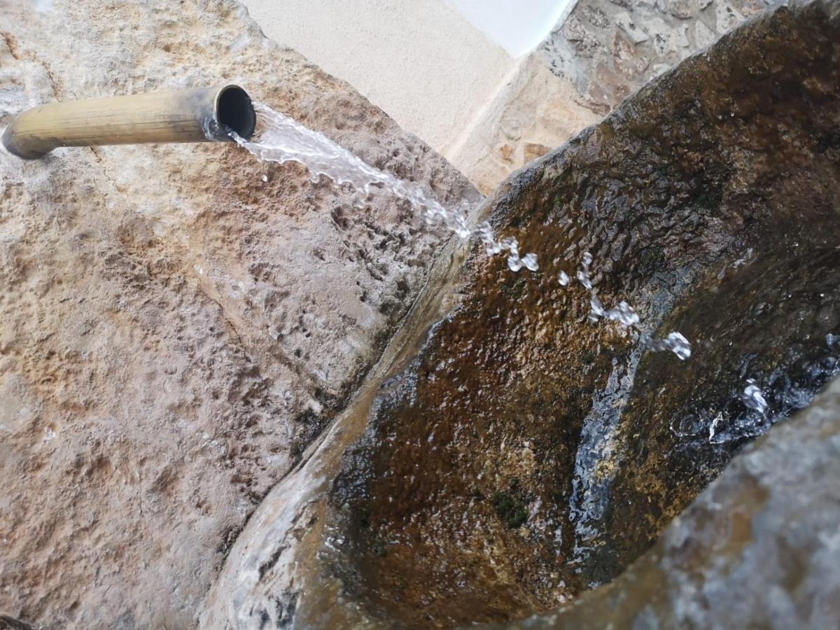 Fuentelgato Huerta del Marquesado