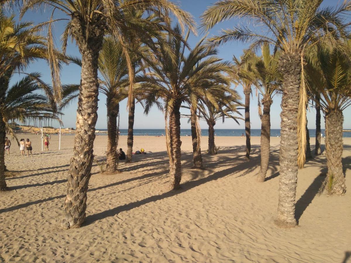 Apartamento En La Zona Del Puerto * Jávea