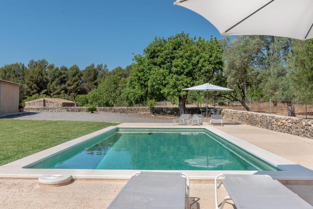 Villa Laurel Arta