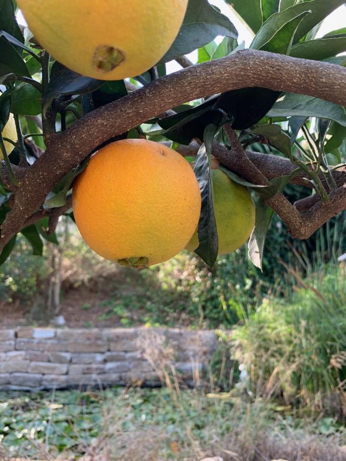 A Natural Retreat * Mijas