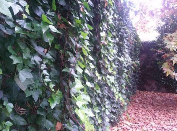 Guest house Ramon Y Cajal Valladolid
