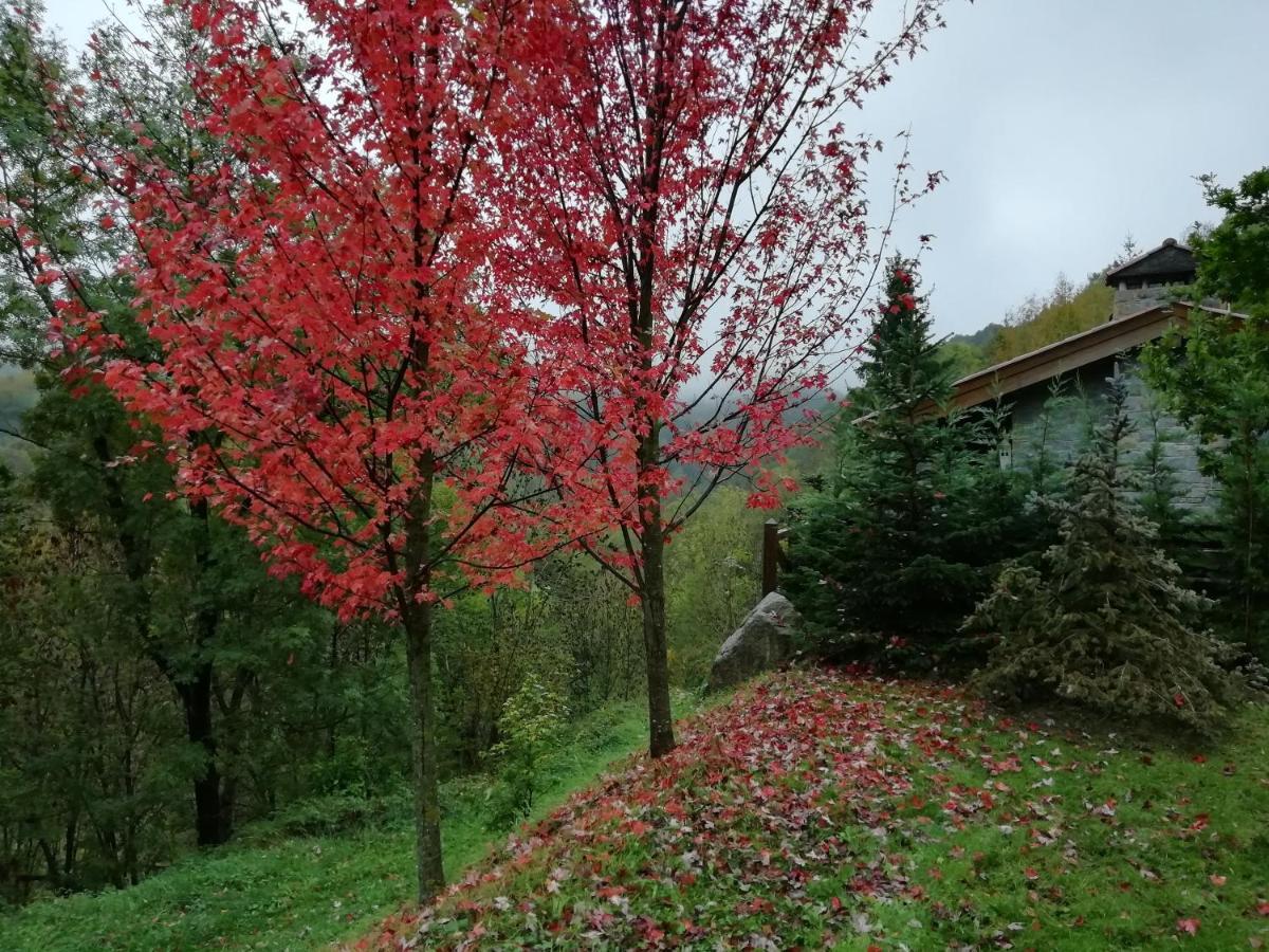 Holiday home Les Pedres *