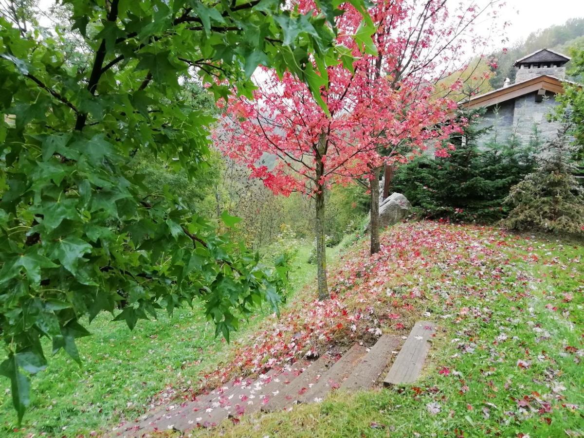 Holiday home Les Pedres *