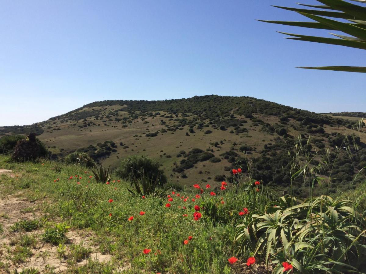 La Vina Villa Vejer de la Frontera