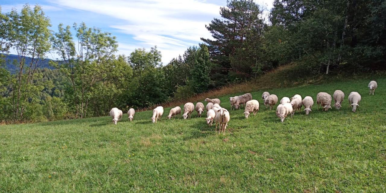 Holiday home Les Pedres