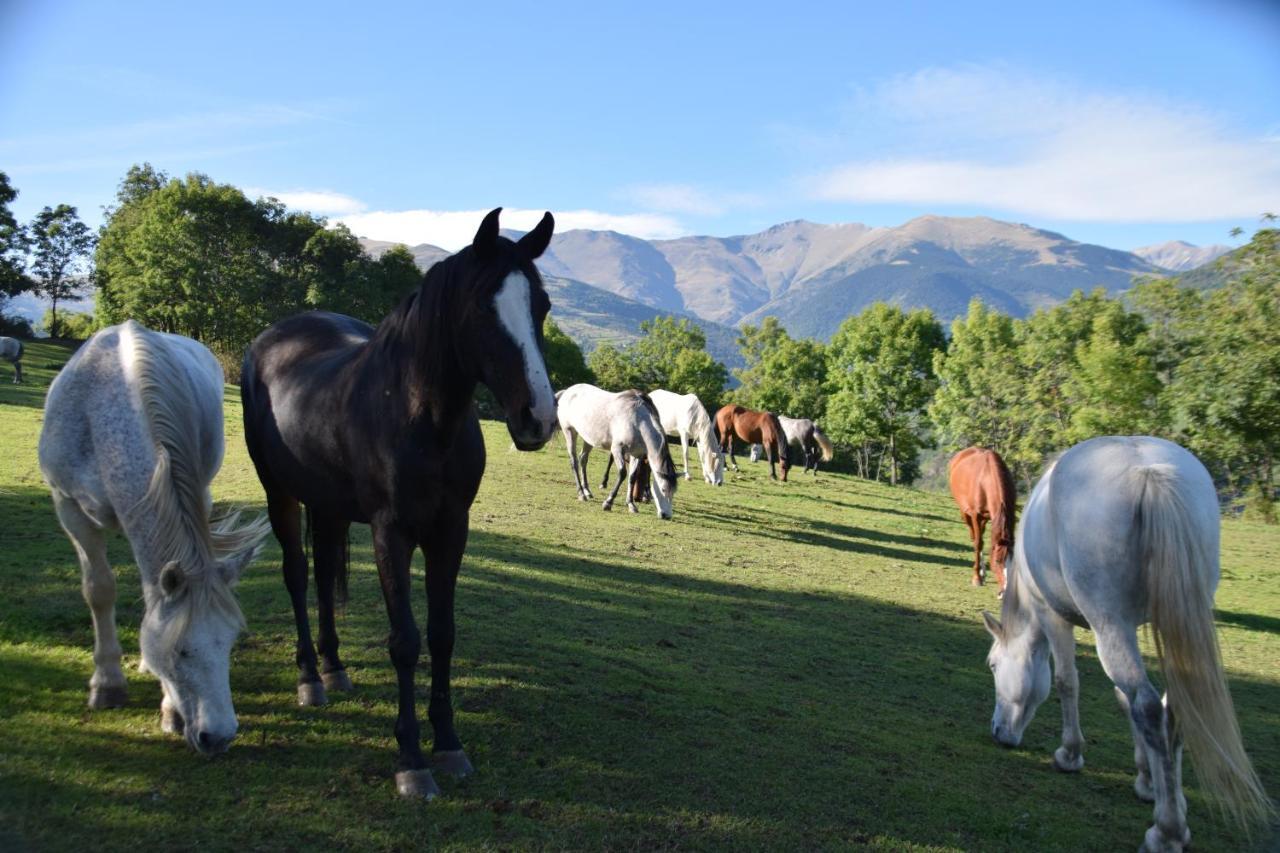 Les Pedres