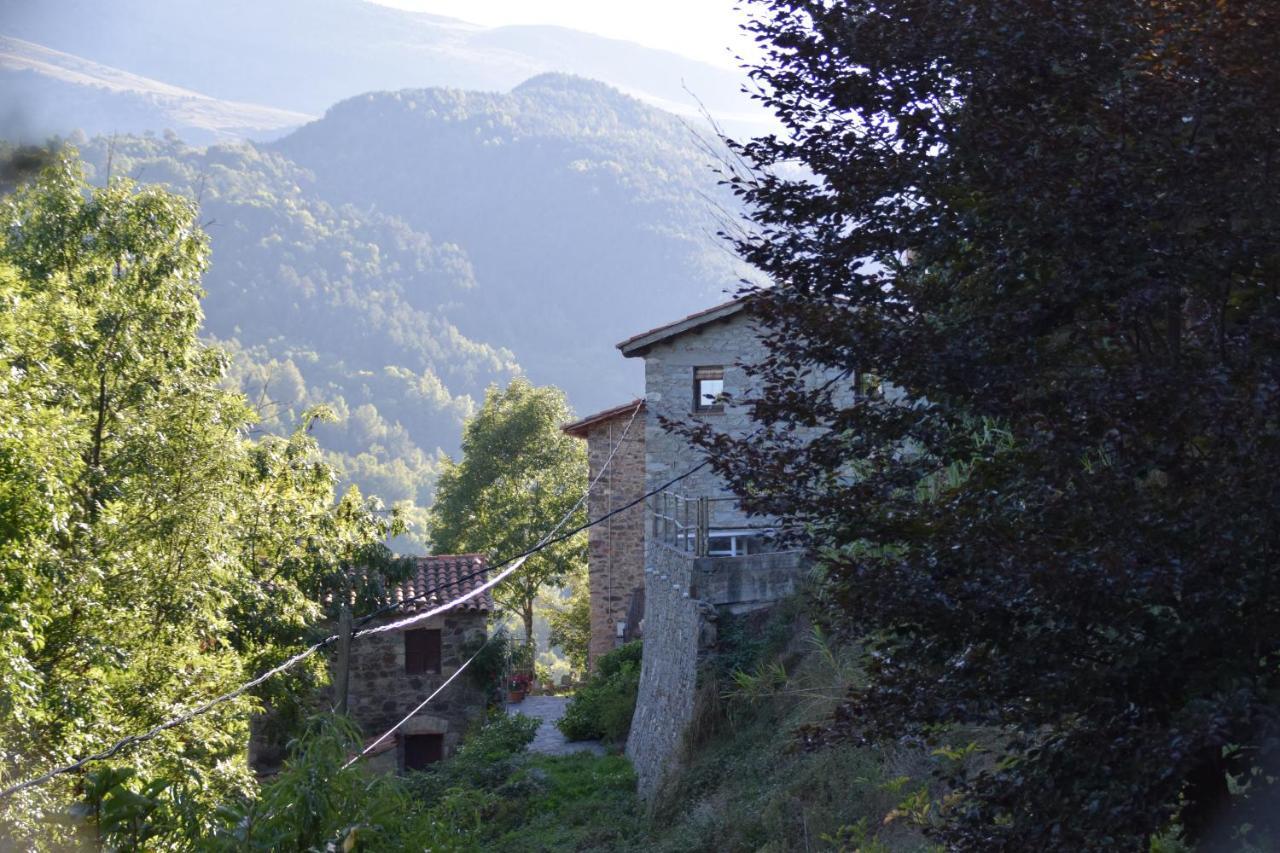 Apartment Els Pins D'abella Camprodon