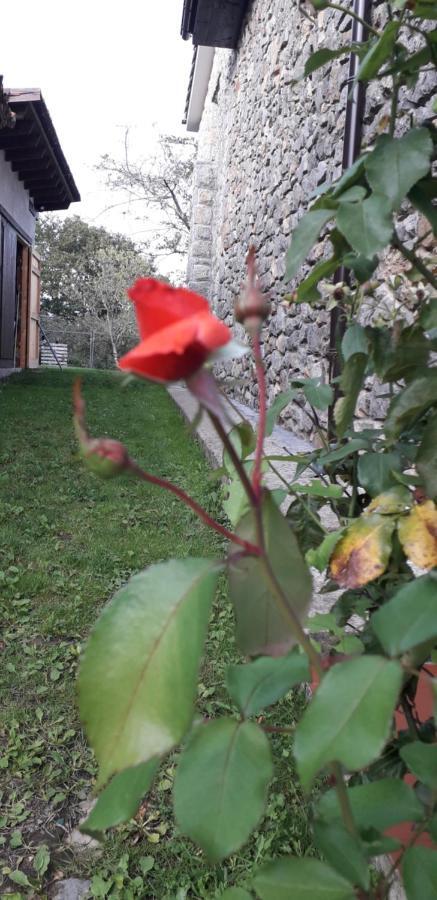 Flor De Pomar Сasa de vacaciones *