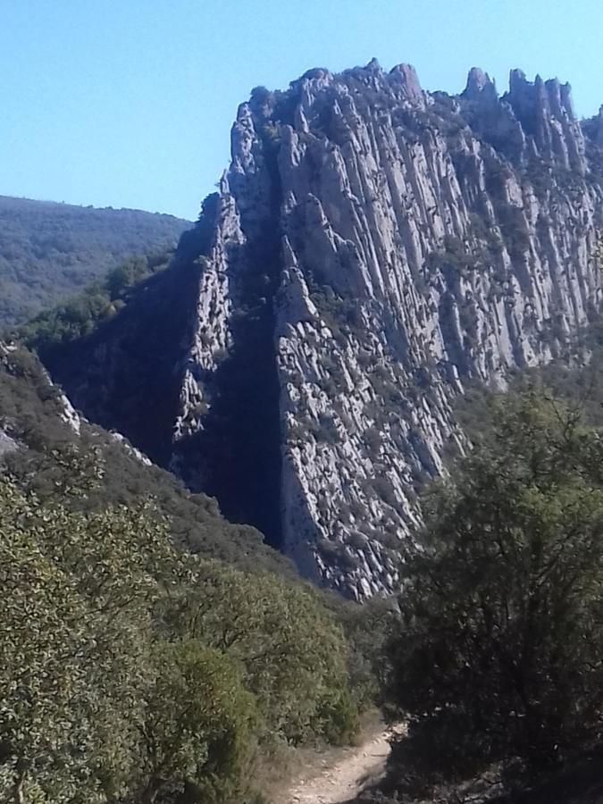 Casaturzo Turzo