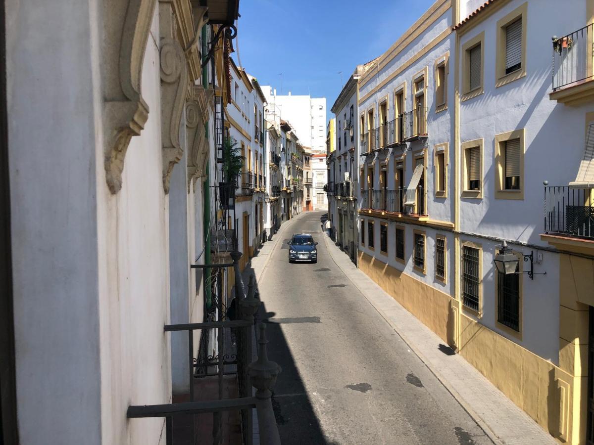 Balcones De San Fernando Apartment