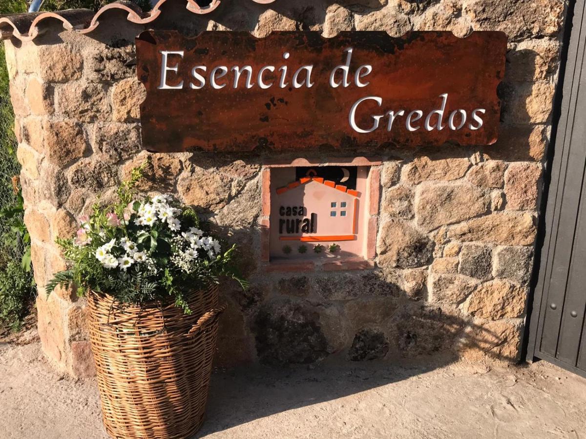Casa rural Esencia De Gredos
